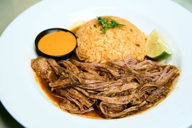 Birria Plate.