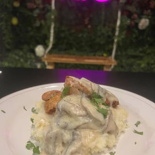 Chicken in cream of Mushroom